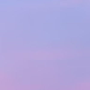 Meet your Posher, Hattie